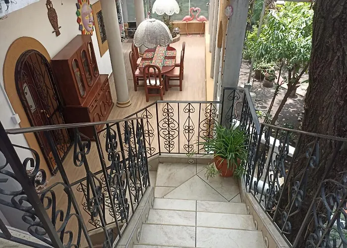 Nogal Cidade do México